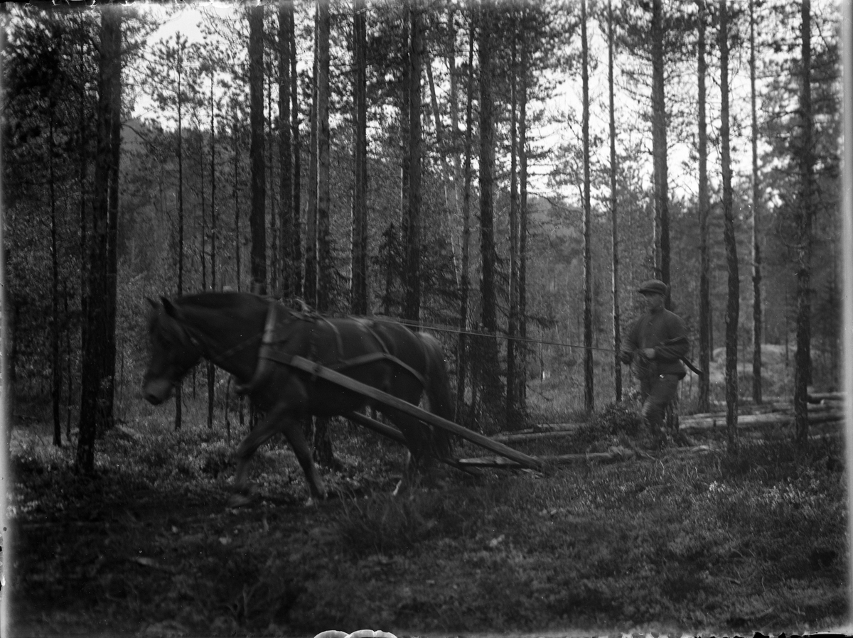 Fotosamling etter Bendik Ketilson Taraldlien (1863-1951) Fyresdal. Gårdbruker, fotograf og skogbruksmann. Fotosamlingen etter fotograf Taraldlien dokumenterer områdene Fyresdal og omegn. 
Motiv som viser tømmerkjøring med hest, Bellington.