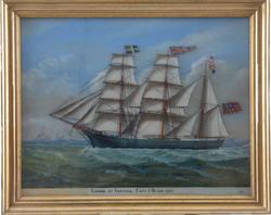 Skutebilde, bark Landbø, olje under glas