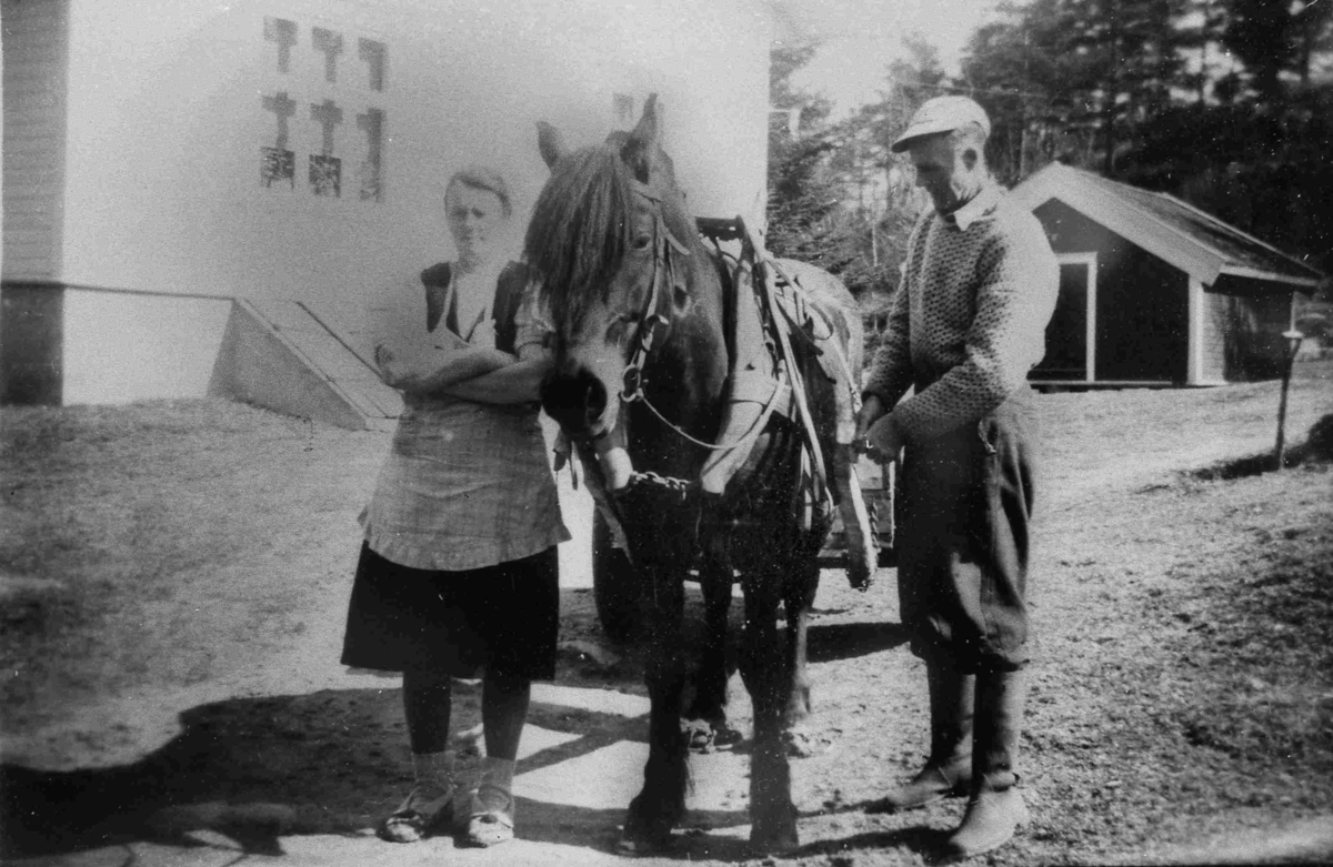 Bilder fra Birkenes kommune
Hesten Vårvinne ca 1950