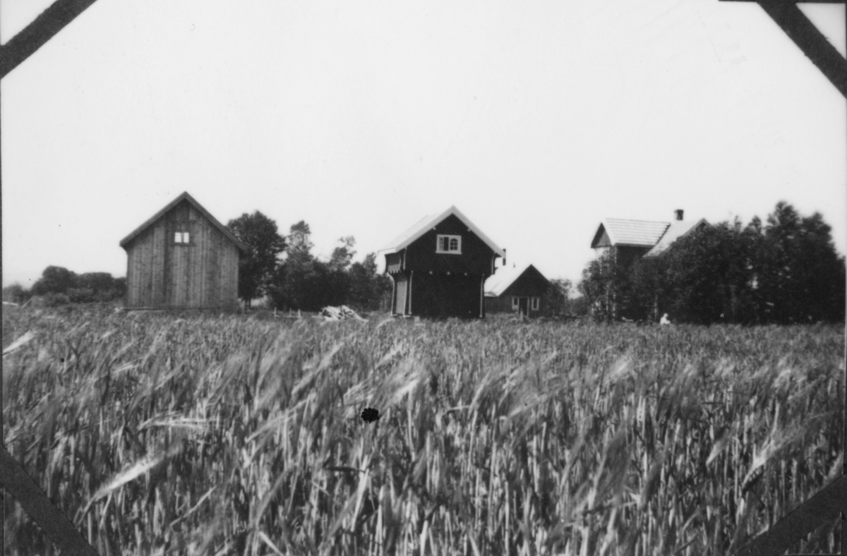 Buskerud gård i Gjerdrum.