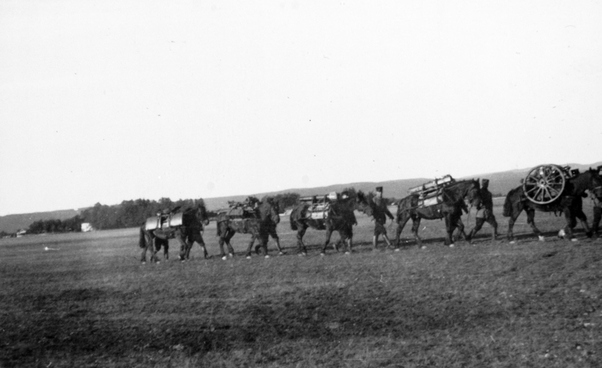 Soldater på vei til øvelse med kløvhestene.
