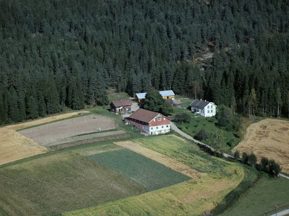 RINGNES (ØVRE) GÅRD