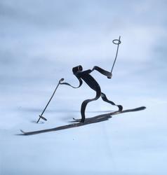 Skier