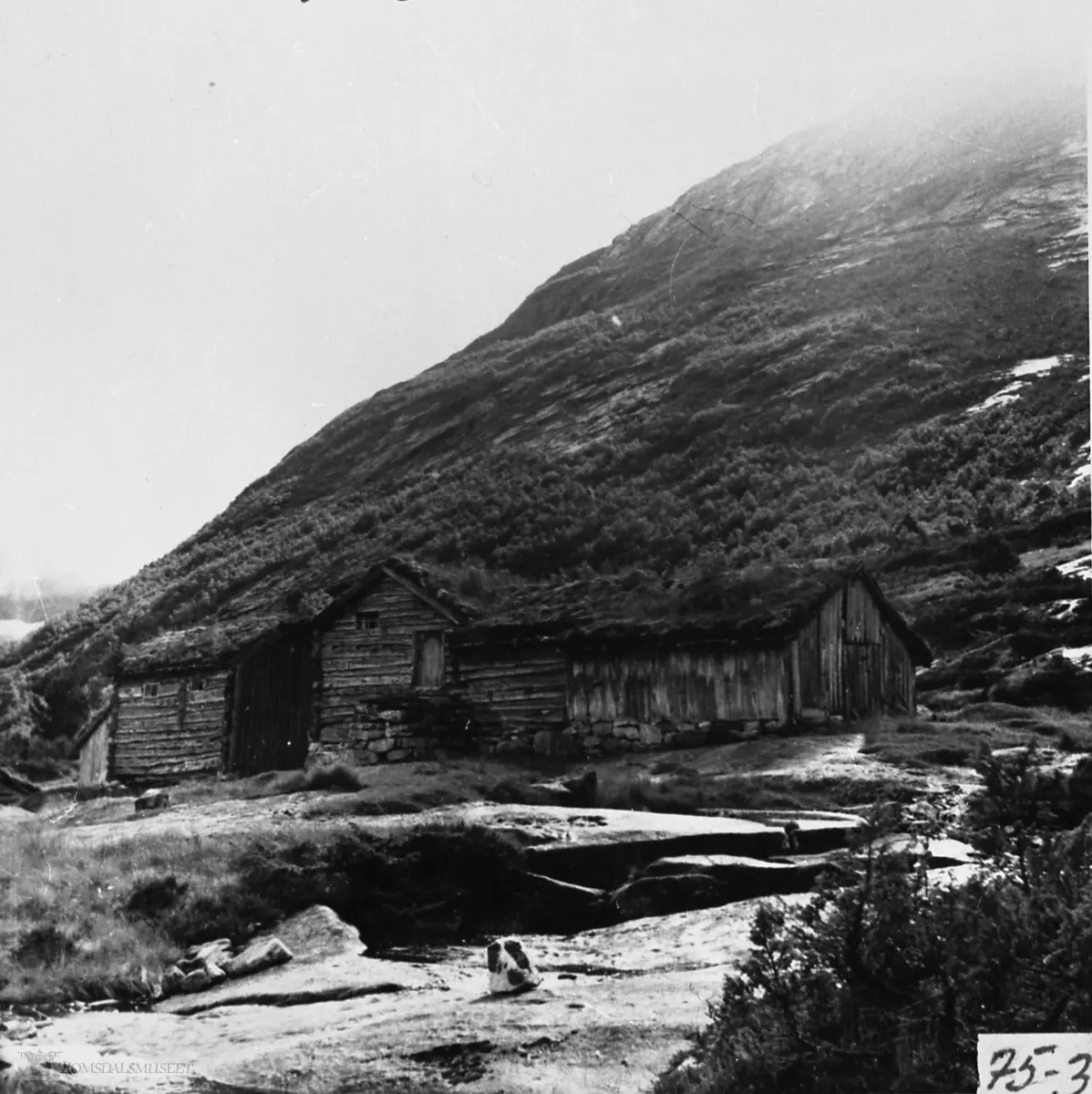 Setermotiv. Nauste-setrene. Disse setrene ble rasert til pinneved av snø- storm vinteren 1978/79.....