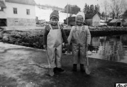 Bildet er tatt på voren nedenfor Fjordglimt.....