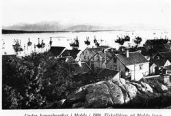 Molde havn med fiskeflåten under kongebesøket i 1906.