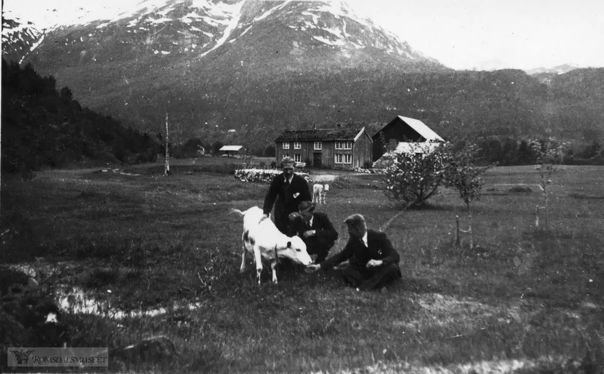 .Distriktslosjemøte i Eresfjord i 1943.