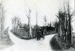 Fanestranden, Tøndergård med vakker alle