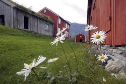 Nesset prestegård.."Prestekrager" ."Romsdalsmuseet 100 år".J