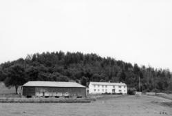 Nr.73. Talset. Amund Eikås. .(Bilder brukt i "Gards- og ætte