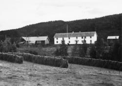 Nr.3. .(Bilder brukt i "Gards- og ættesoge for Nesset").