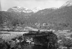 På stølen på Nord-Heggdal.