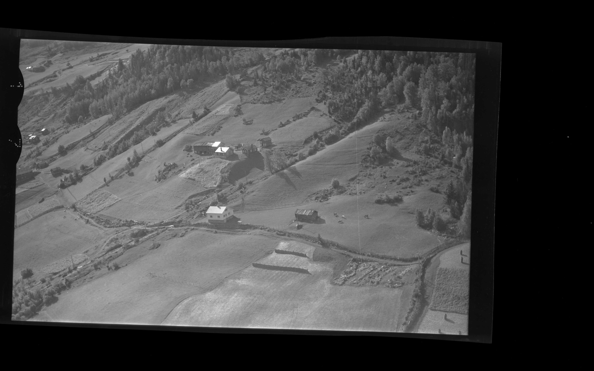 Flyfoto av Rohaugen.
Bolighus,hallingstugu,låve og stabbur.