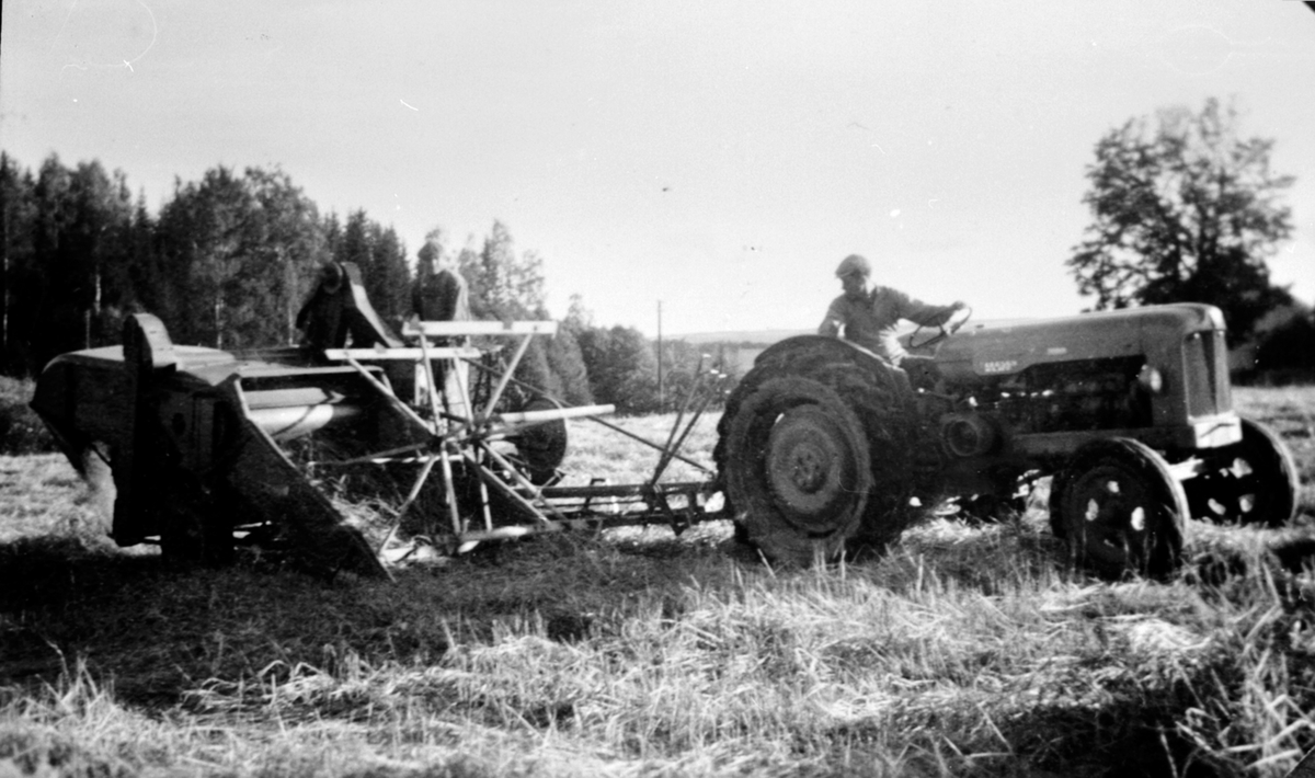 Skuronn på Tørud gård, Ringsaker. Standard traktor med selvbinder ...