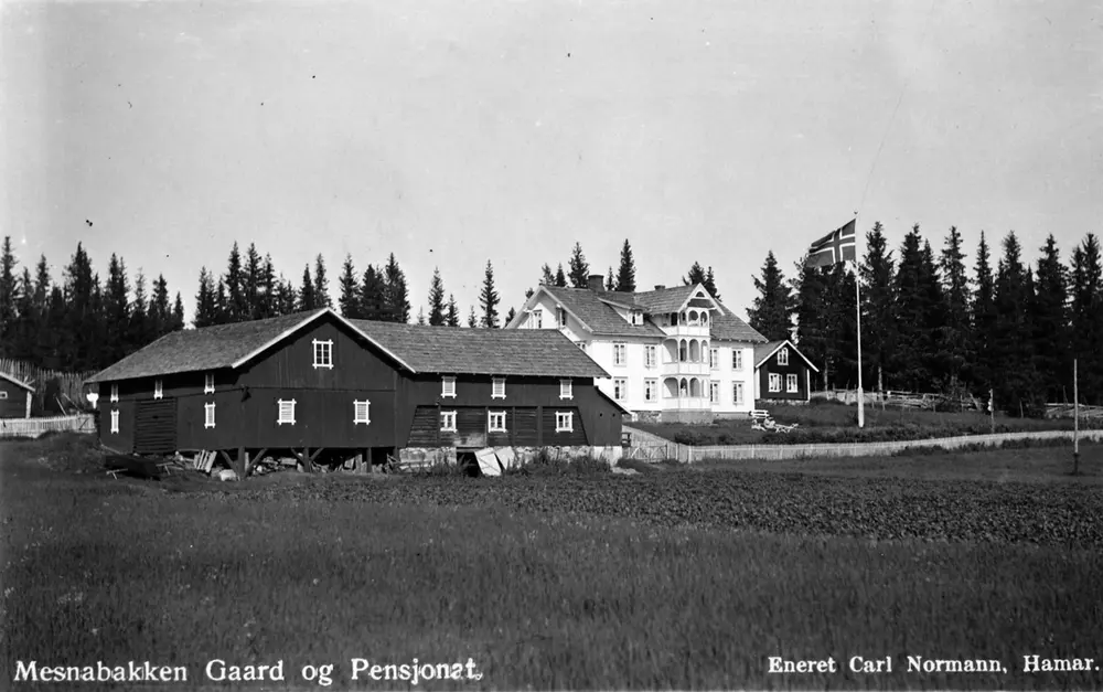 Mesnabakken gård og pensjonat i Mesnalia sett utenfra.