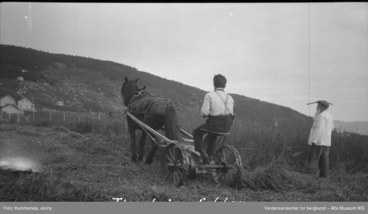 Pløying av jord med hest i landskap, Talvik 1928