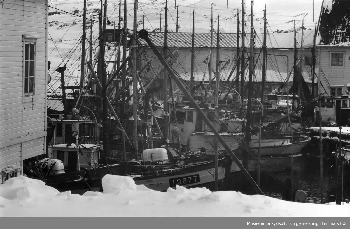 Vårfisket. Mange båter på havna i Berlevåg. I forgrunn en båt fra Troms. Fotoet er tatt mot Hammer-bruket., ca 1965