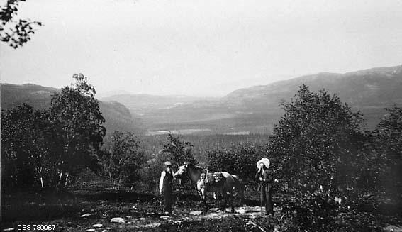 utsikt over en dal, to menn og en kløvhest