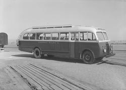 Mørelinjens nye rutebusser