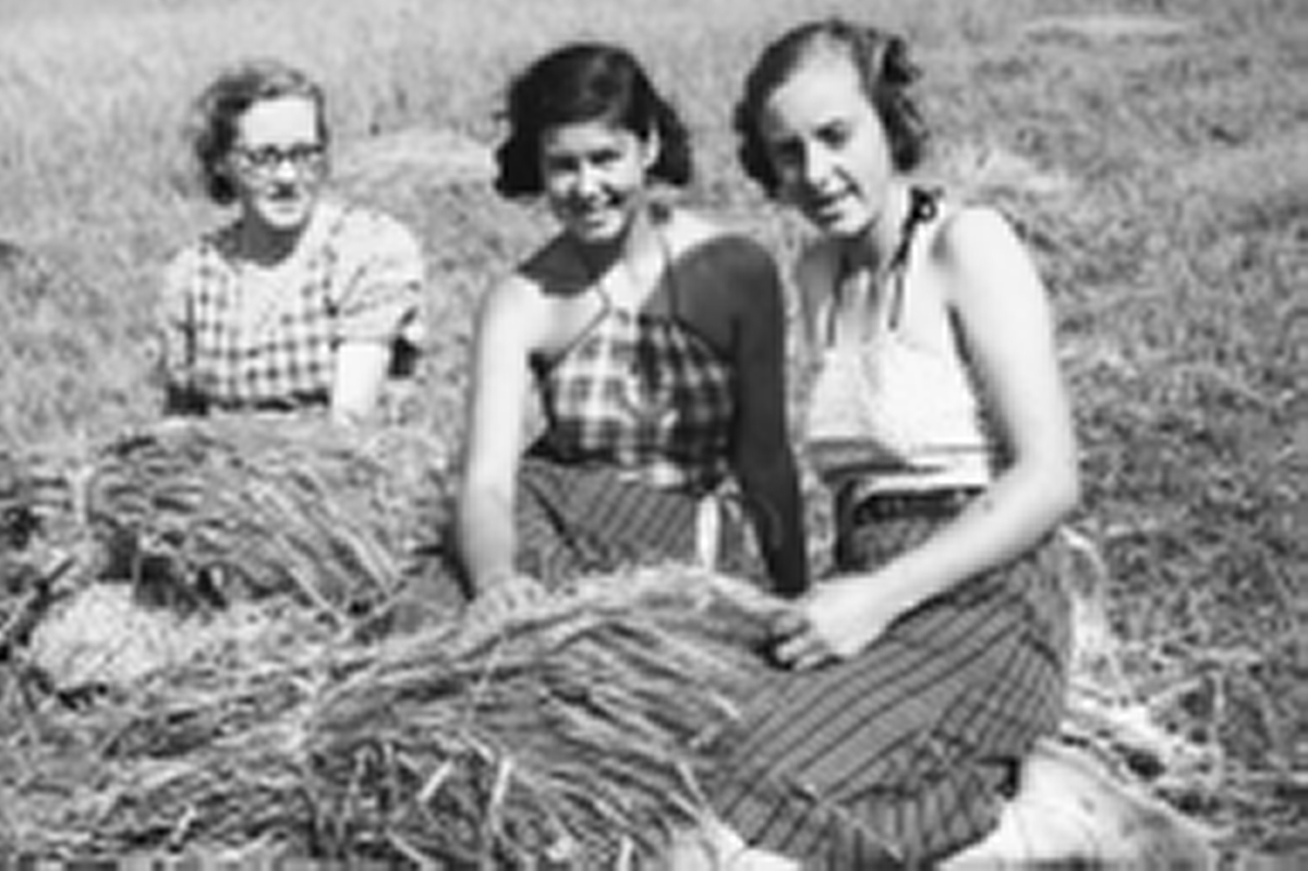 Grimsrud på Helgøya. Pauline Moen, Olaug Moen og Anne Moen i skuronna 
14. 08. 1940. 