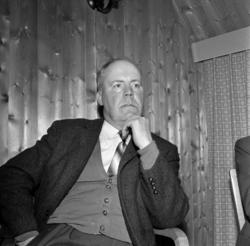 Alf Sandlie, Hamar, ski.