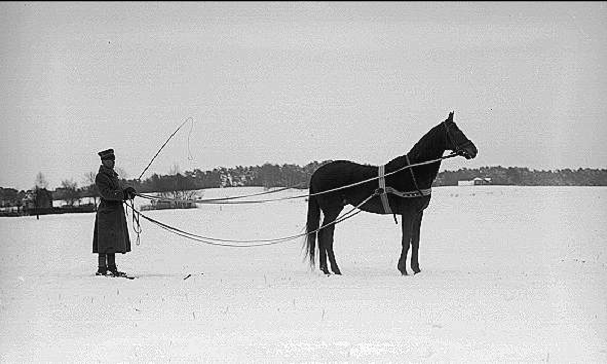Löjtnant Sven von Essen utövar tolkning på skidor efter egna tjänstehästen/tävlingshästen Flanagan.