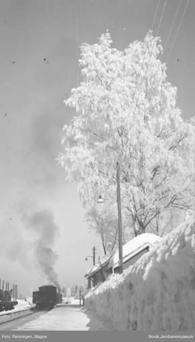 Vinterbilder fra Hovedbanen 1/5 : Hauerseter
