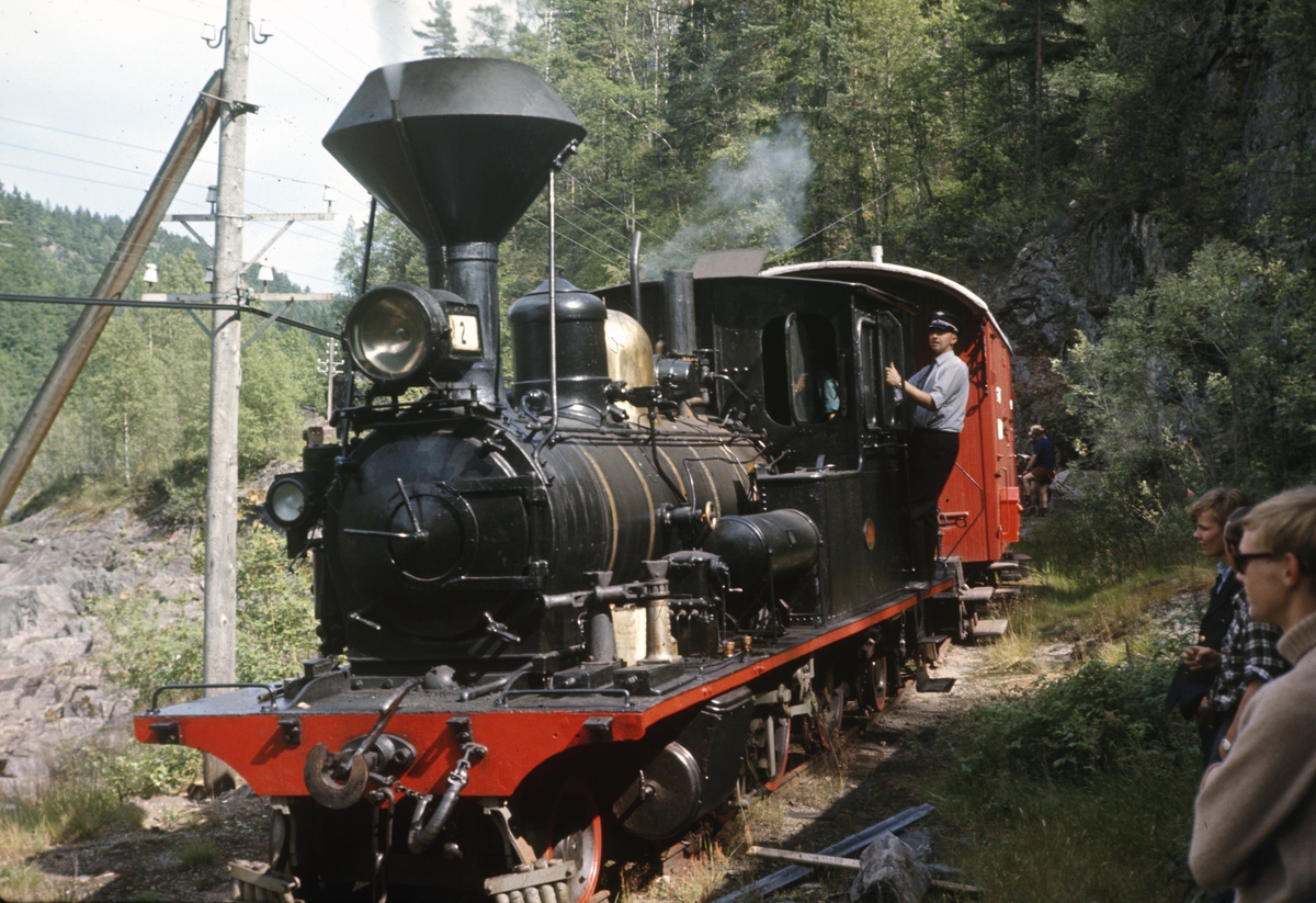 Setesdalsbanens damplokomotiv type XXI nr. 2 med museumstog ved Vrængen