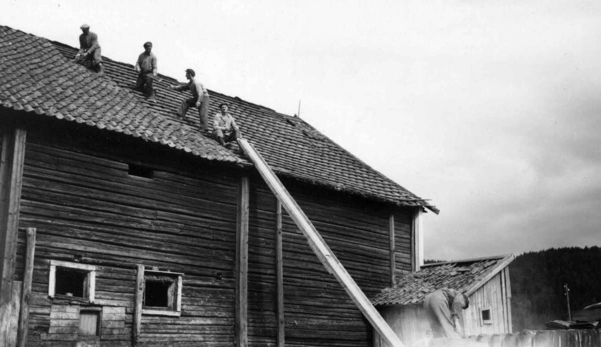 Garsvik, Aurskog-Høland, Akershus 1946. Låve under riving. Nå på Norsk Folkemuseum.