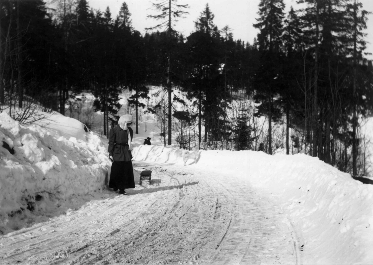 På vei til Holmenkollen. Wilhelmsøy. 1908-1910. Akende. Vintermotiv. Skog. Brøytet vei. Kvinne med kjelke.