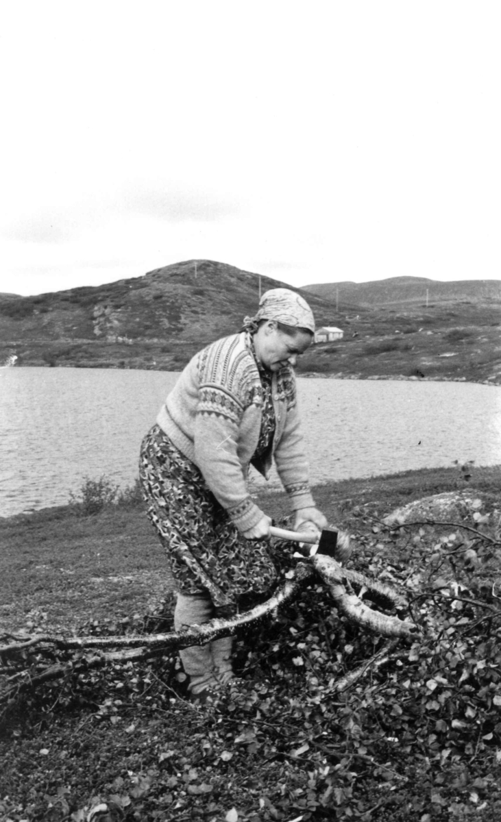 Ellen Marie Anti hugger småved, Ytre Billefjord 1959.