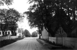 Hafslund hovedgård, Sarpsborg. 1930. Hager med trær. Stakitt