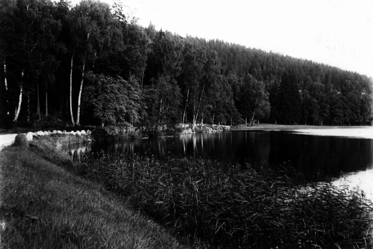 Fra Bogstad ca. 1923. Parken. Vei langs Bogstadvannet. Trær.