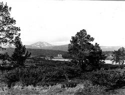 Landskap, skog- og fjellområde med bebyggelse i bakgrunnen, 