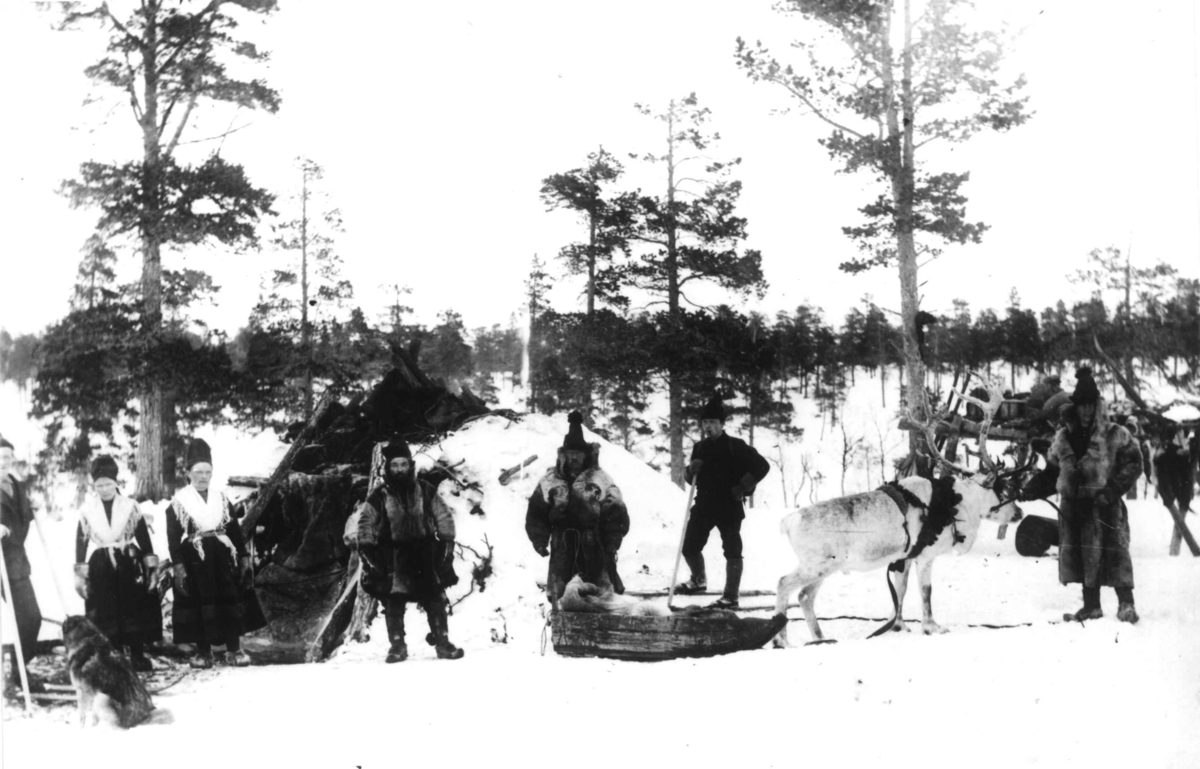 Lappeleir fra Rørostraktene. Mennesker og reinsdyr med slede samlet utenfor en gamme. Fleinsmarka 1890.