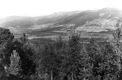 Geilo, Hallingdal. Oversiktsbilde av bygda, skog, åser og fj