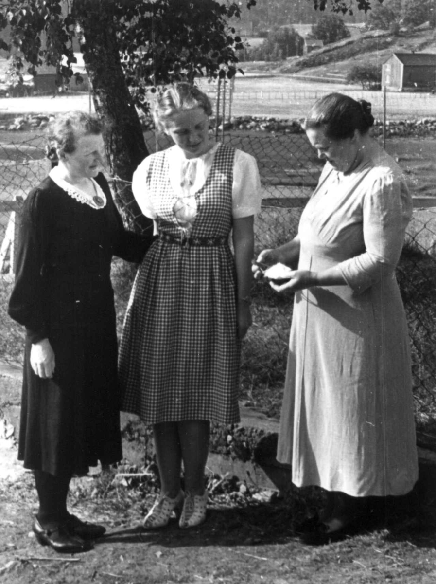 Tre kvinner  studerer en gjenstand. Hægeland, Vennesla 1941.