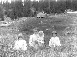 Familiemedlemmer på Holoa seter, Hadeland, Jevnaker, Oppland