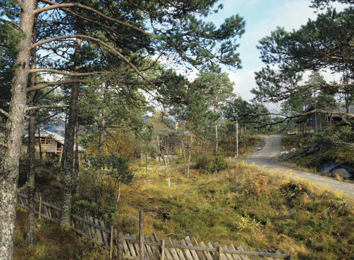 Tre hus ligger vakkert i terrenget i Naustdal ved Førde. llustrasjonsbilde fra Bonytt 1986.