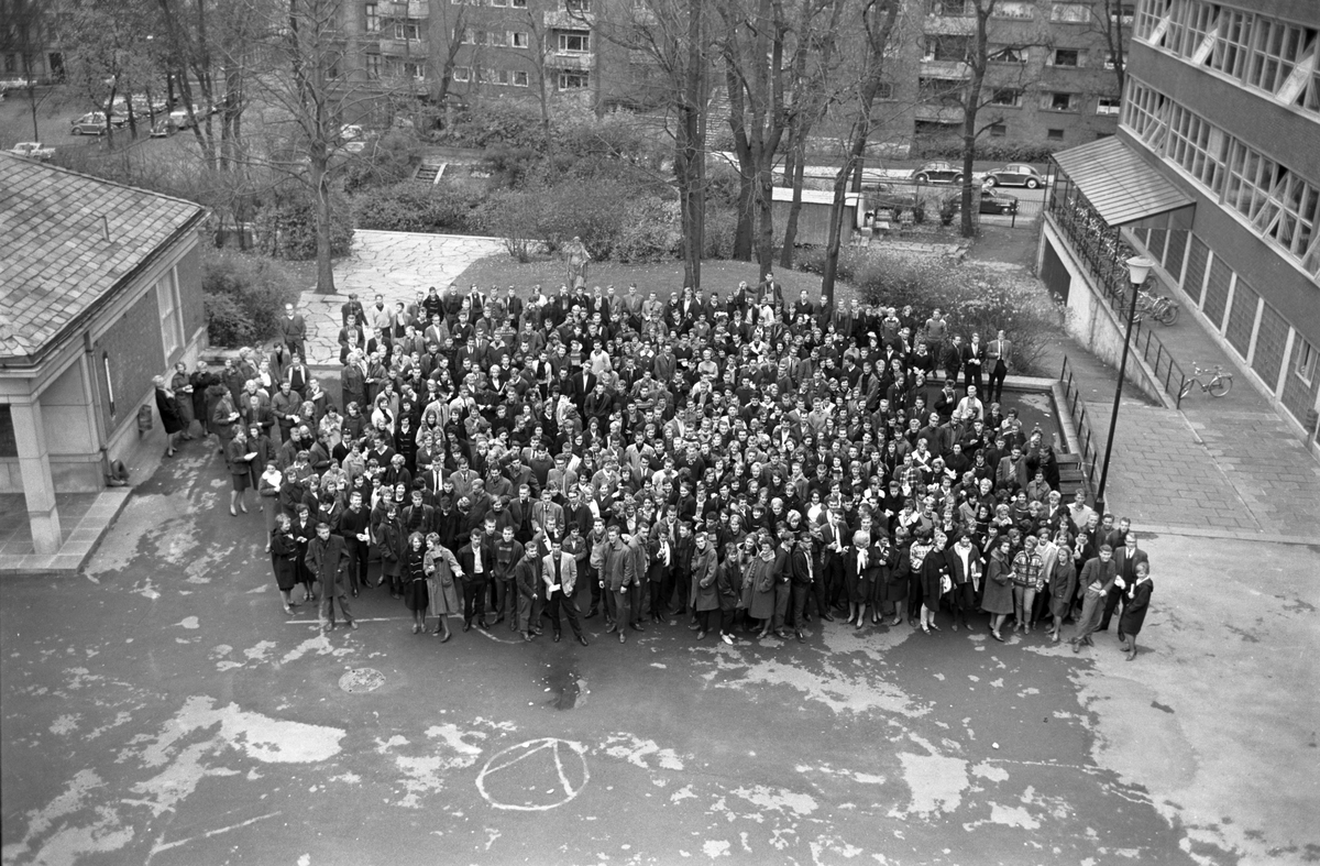 Alle studentene på Oslo handelsgymnas. Fotografert nov. 1961.