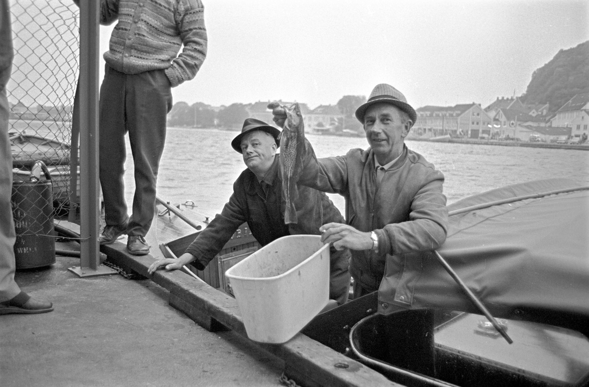 Serie. Dagbladets fiskekonkurranse "Gullfisk" i Mandal, Vest-Agder. Fotografert 1967.