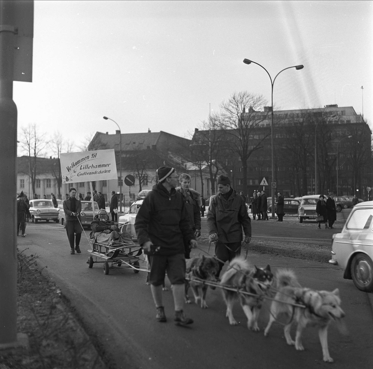 Hundespann. Juleopptog til Holger Danske, Oslo 04.12.1964.