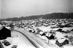 Fra Sogn, Oslo mars 1960. Kolonihagene i vinterlandskap.