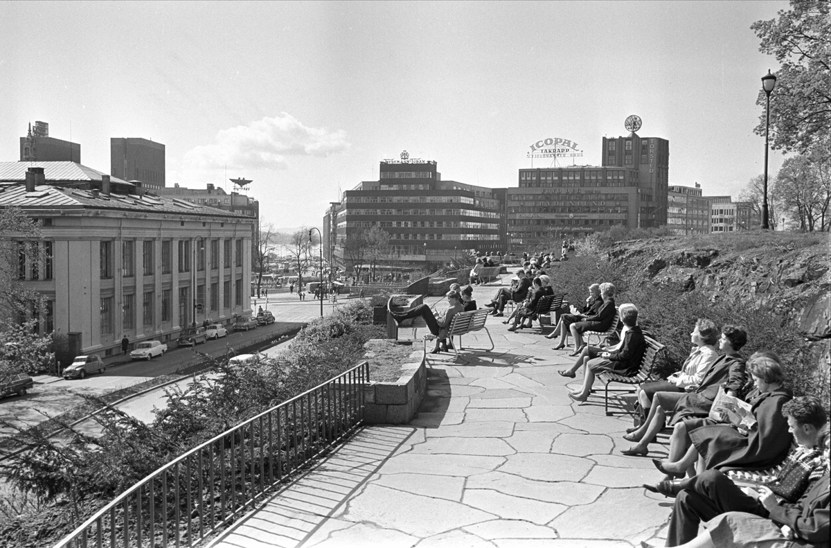 Drammensveien 1, Oslo, mai 1964. Slottsparken. Mennesker på benker.