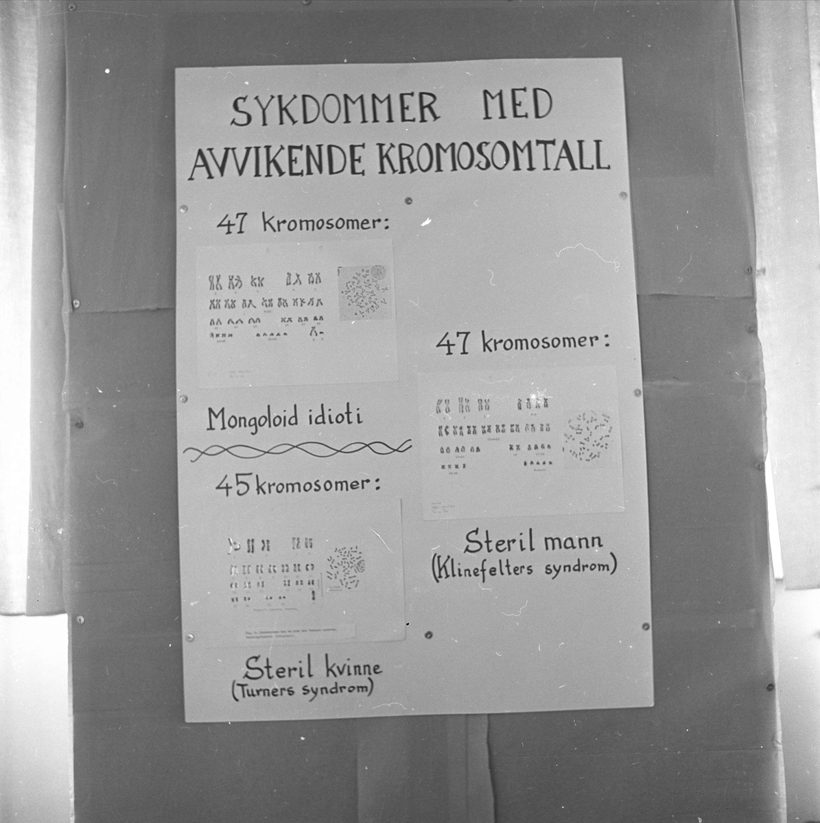 Oslo, juni 1960, Universitetets utstilling i anledning 150-årsjubileet.