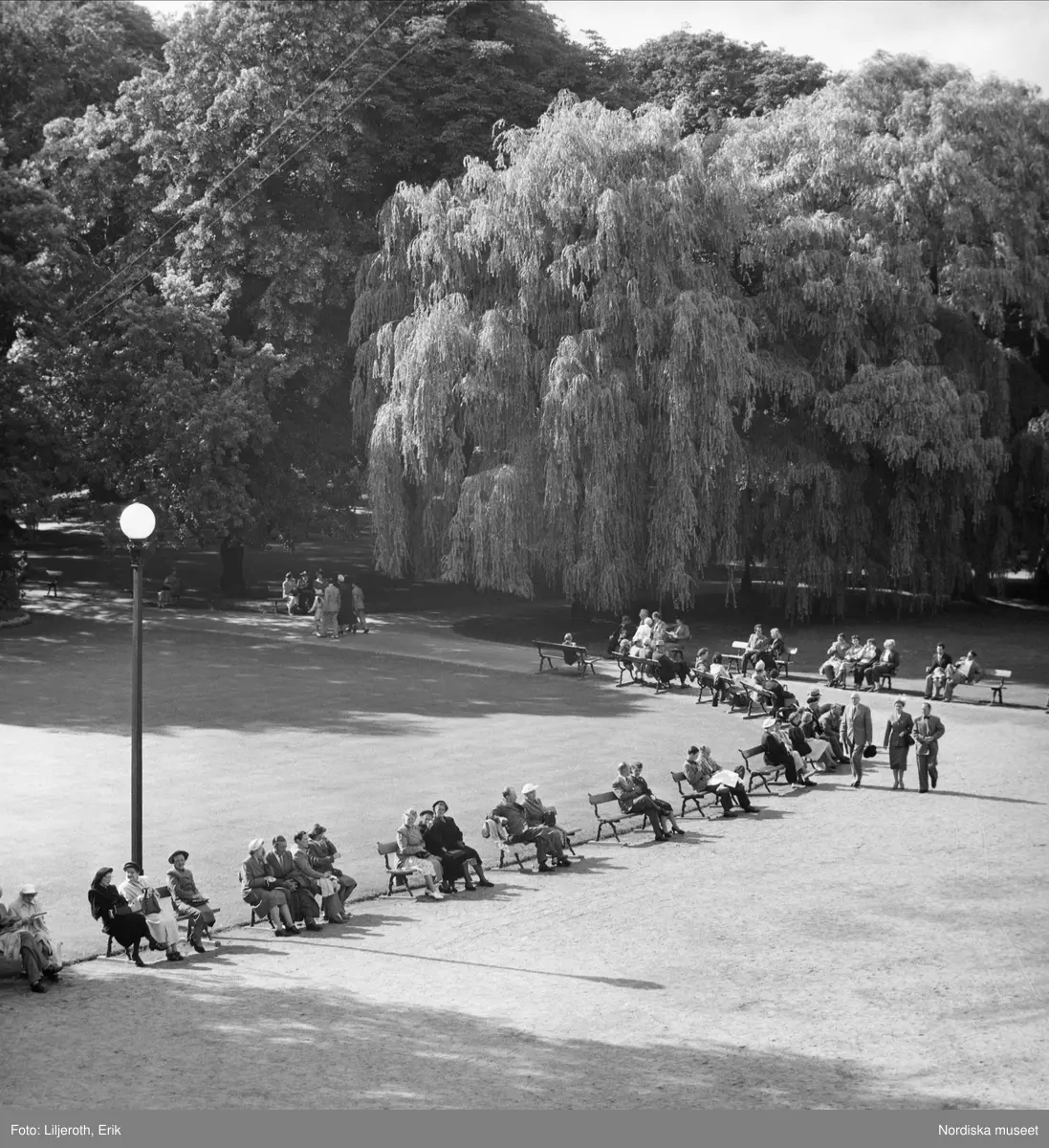 Göteborg. Besökare hos Trädgårdsföreningen