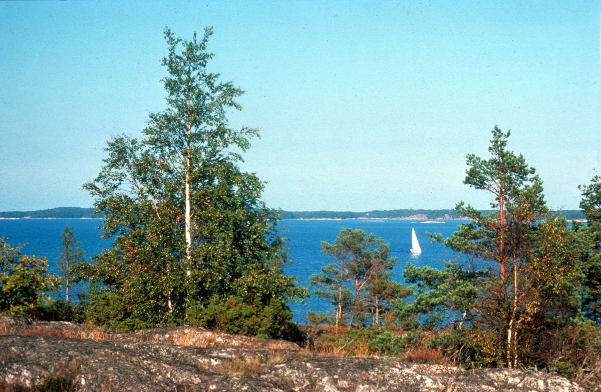 Kanholmsfjärden från Gastholmen, Djurö socken, Uppland augusti 1976
