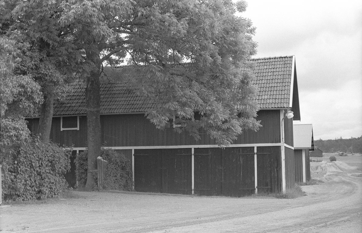 Före detta stall, lider och magasin, Lilla Söderby, Danmarks socken, Uppland 1977