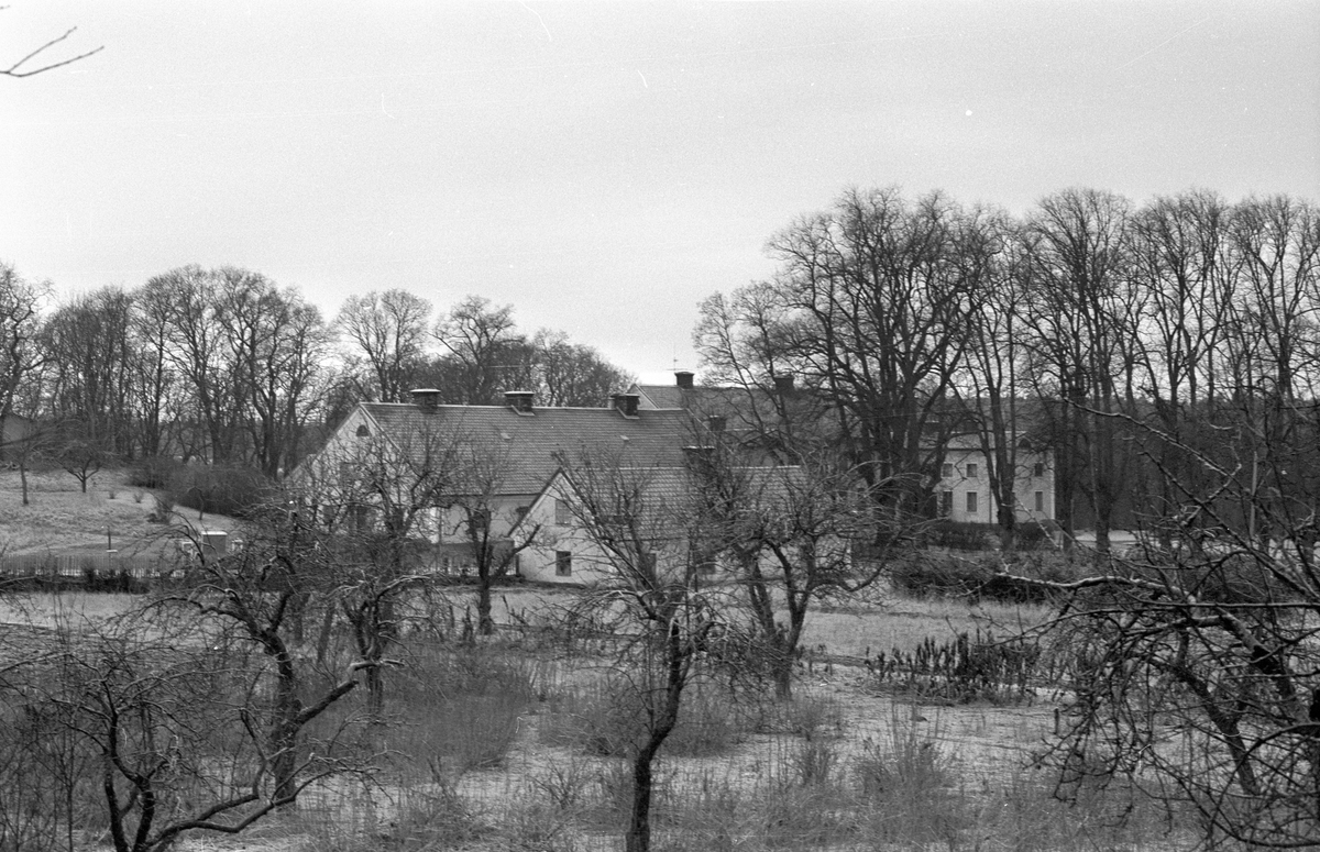 Ekonomibyggnader och huvudbyggnad, Frötuna gård, Rasbo socken, Uppland 1982