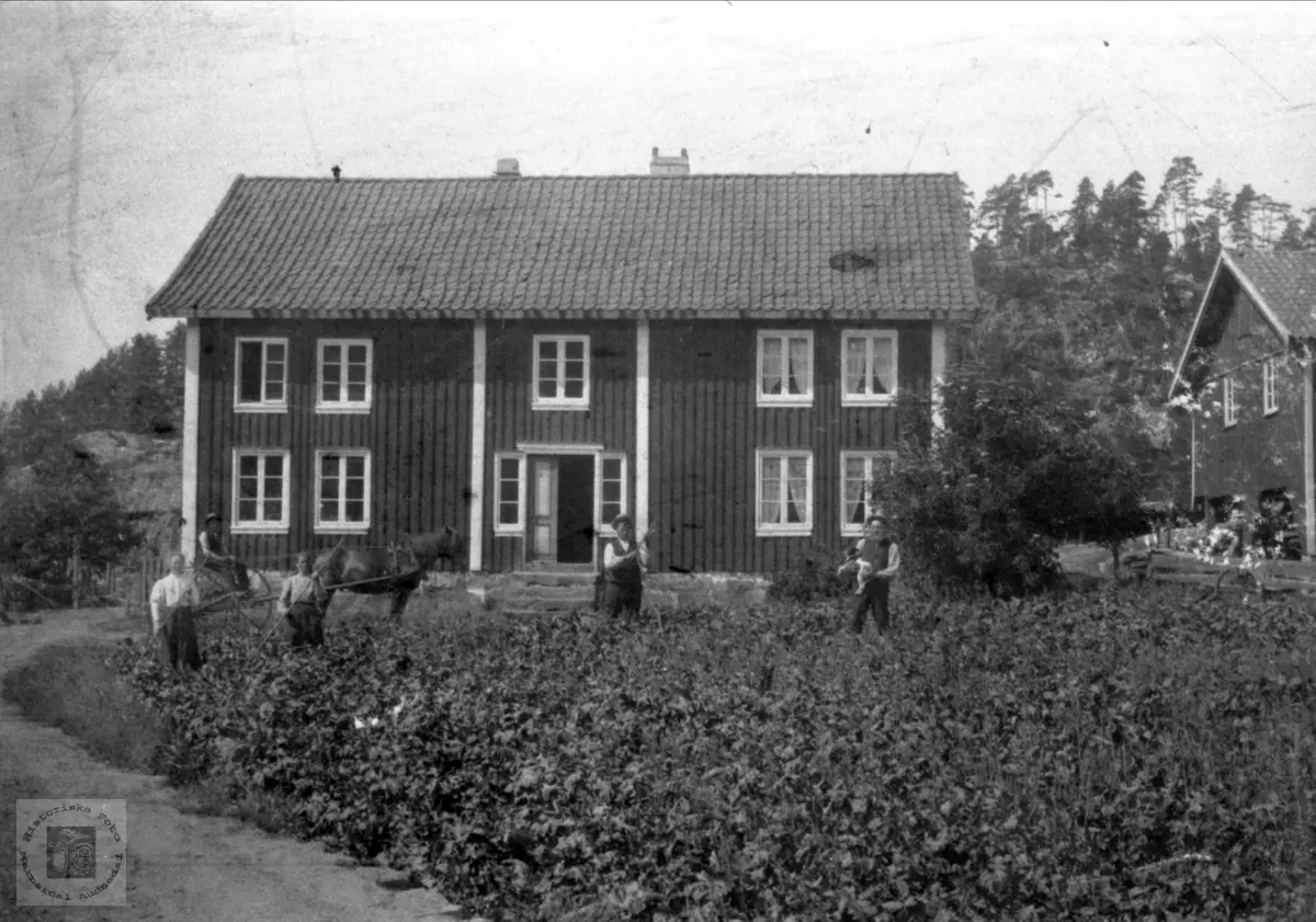 Slåttetid (Høyonn) Høye Øyslebø.